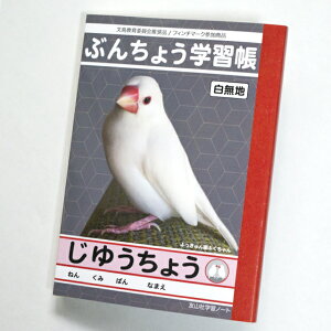 TOMO YAMASHITA DESIGN STUDIO.  Ԃ񂿂傤 䂤傤@195A0407 lR|XΉ\ BIRDMORE o[hA ObY pi G  o[h v[g