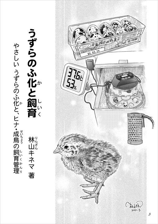 楽天市場 ことり御屋 書籍 うずらのふ化と飼育 234a0262 ネコポス対応可能 Birdmore バードモア Craft Garden 鳥用品 鳥グッズ 雑貨 鳥 とり ウズラ 鶉 うずら 孵化 飼鳥用品専門店birdmore楽天市場店