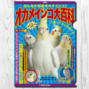 TOMO YAMASHITA DESIGN STUDIO. A4NAt@C ݂ȑDI@IJCRS 195A0411 lR|X Ή\@ BIRDMORE o[hA CRAFT GARDEN pi ObY G ObY  Ƃ g CR v
