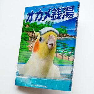 TOMO YAMASHITA DESIGN STUDIO. @IJK@195A0433 lR|XΉ\ BIRDMORE o[hA CRAFT GARDEN ObY pi G  o[h v[g