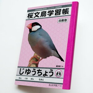 TOMO YAMASHITA DESIGN STUDIO. @wKi䂤傤j@195A0434 BIRDMORE o[hA CRAFT GARDEN ObY pi G  o[h v[g