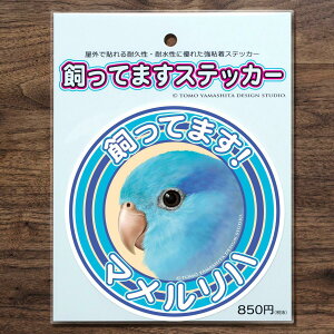 TOMO YAMASHITA DESIGN STUDIO. Ă܂XebJ[@}n@195A0437@ lR|X Ή\@BIRDMORE o[hA pi ObY G ObY  Ƃ g CR v[g