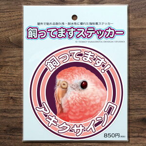 TOMO YAMASHITA DESIGN STUDIO. Ă܂XebJ[@ALNTCR@195A0438@ lR|X Ή\@BIRDMORE o[hA pi ObY G ObY  Ƃ g CR v[g