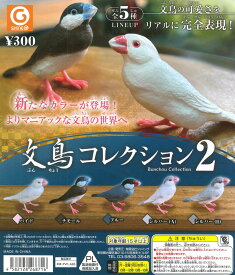 ガチャガチャ 文鳥コレクション2　（1個） BIRDMORE バードモア 鳥用品 鳥グッズ 雑貨 鳥 とり プレゼント