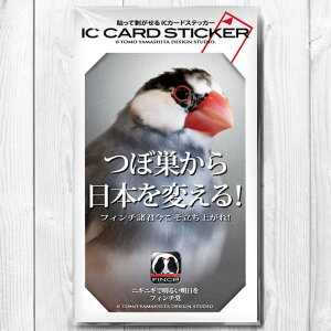 TOMO YAMASHITA DESIGN STUDIO. IC J[hXebJ[ tB`}@ڑ@195A0445 lR|X Ή\ BIRDMORE o[hA pi ObY G  Ƃ v[g