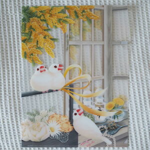 H[ A4NAt@CEt̑ E 202A0365@lR|XΉ\ BIRDMORE o[hA CRAFT GARDEN pi ObY G ObY  Ƃ g CR v[g