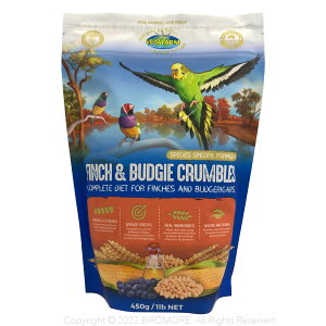 ܖ 2027N1 x^t@[ tB`oW[ NuY@450g 9998638 BIRDMORE o[hA pi ybg    Ƃ g CR v[g