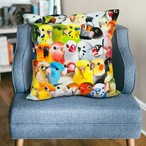 TOMO YAMASHITA DESIGN STUDIO.�@����������@�N�b�V�����J�o�[ 195A0460�@BIRDMORE �o�[�h���A ���p�i ���O�b�Y �G�� �� �Ƃ� �v���[���g