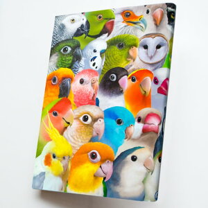 TOMO YAMASHITA DESIGN STUDIO. @@195A0461 lR|XΉ\ BIRDMORE o[hA CRAFT GARDEN ObY pi G  o[h v[g