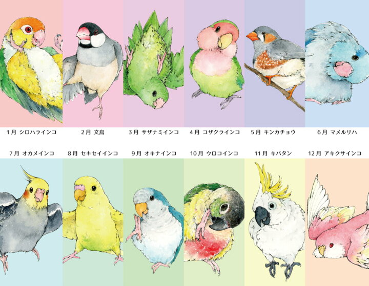 楽天市場 ゆとり屋 23年 オリジナル カレンダー 卓上タイプ お一人様1点まで Birdmore バードモア 鳥用品 鳥グッズ Calendar 鳥 とり トリ インコ プレゼント 飼鳥用品専門店birdmore楽天市場店