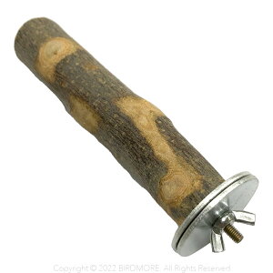 インコ 止まり木 とまり木 マルカン ステップになるリンゴのかじり木 太枝 9998766 BIRDMORE バードモア 止まり木 ステップ 林檎 りんご 鳥 とり プレゼント