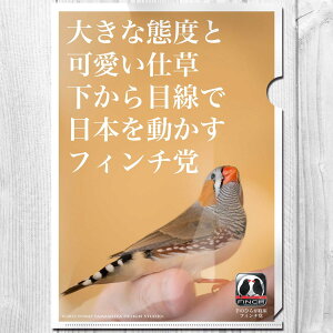 TOMO YAMASHITA DESIGN STUDIO.@A4 NAt@C@tB`} u ڐœ{𓮂tB`} v@195A0470 BIRDMORE o[hA CRAFT GARDEN pi ObY G ObY  Ƃ g CR v