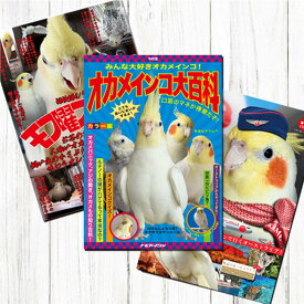 TOMO YAMASHITA DESIGN STUDIO. B3ポスター 3枚セット　雑誌シリーズVol.6 195A0473 BIRDMORE バードモア CRAFT GARDEN 鳥用品 鳥グッズ 雑貨 鳥 とり プレゼント