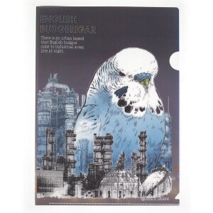 Ƃ䉮 NAt@C ZLZCCR 234A0279@lR|X Ή\ @BIRDMORE CRAFT GARDEN o[hA pi ObY G  Ƃ v[g