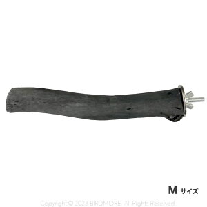 CR ~܂ Ƃ܂ pbgt@[@Y@~܂؁@TCYFM@ BIRDMORE o[hA pi ObY pi  Ƃ v[g