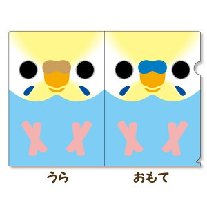 񂱉 A4NAt@C ZLZCCR pXeC{E 054A0290 lR|X Ή\ BIRDMORE o[hA CRAFT GARDEN ObY pi G  o[h v[g