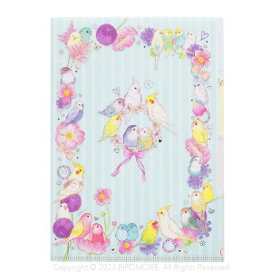 N[YEs A4NAt@C t[ CF-15678 9999148@lR|X Ή\ BIRDMORE o[hA pi ObY G  Ƃ v[g