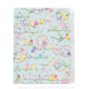 N[YEs Wbp[t6|PbgNAt@C t[@CF-15684 9999149 BIRDMORE o[hA pi ObY G  Ƃ v[g