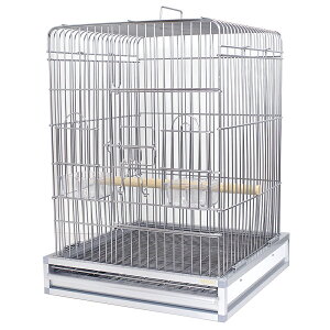  P[W Ƃ肩  o[hQ[W HOEI 465 IE XeX v~A 9991947 BIRDMORE o[hA pi  ObY G  Ƃ  JS P[W