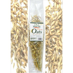 o[hA t@[ I[c̕ 50g@i_Ew엿sgpj E_fpbP[W@9999101 BIRDMORE pi ObY Ƃ  CR a  ΂ GoN  G