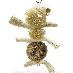 BMIWi@Sr[t@@9999279@BIRDMORE@o[hA@IWi@I`