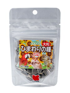 NZ Ђ܂̎ 嗱 20g lR|XΉ\ ybgt[h Rh錾@BIRDMORE o[hA