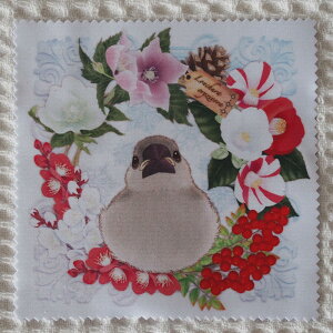 H[ }CN t@Co[NX E~̂ЂȂԂ񃊁[X EЂ 202A0418@lR|XΉ\ BIRDMORE o[hA CRAFT GARDEN pi ObY G ObY  Ƃ g