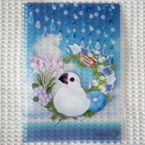 H[ A5NAt@CEĂ̂ЂȂԂ񃊁[X EVo[Ђ 202A0421@lR|XΉ\ BIRDMORE o[hA CRAFT GARDEN pi ObY G ObY  Ƃ g