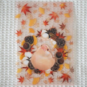 H[ A5NAt@CEĤЂȂԂ񃊁[X EViЂ 202A0422@lR|XΉ\ BIRDMORE o[hA CRAFT GARDEN pi ObY G ObY  Ƃ g