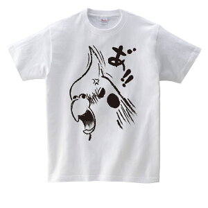 eI TVc {̃IJ IJCR   BIRDMORE o[hA CRAFT GARDEN ObY pi G  o[h v[g