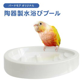 BIRDMORE エッグプール 9998435 バードモア オリジナル　新商品　水浴び 遊び場　白　陶器 おしゃれ かわいい