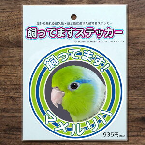 TOMO YAMASHITA DESIGN STUDIO. Ă܂XebJ[@}n O[ 195A0497 lR|X Ή\@BIRDMORE o[hA pi ObY G ObY  Ƃ g CR v[g