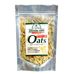 o[hAt@[@}I[c 50g@i_Ew엿sgp)@9999531