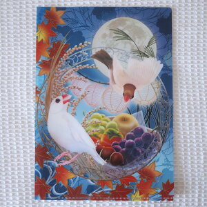 H[ A4NAt@CEĽ EAViAVipChACm 202A0438@lR|XΉ\ BIRDMORE o[hA CRAFT GARDEN pi ObY G ObY  Ƃ g