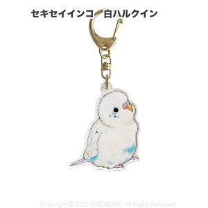 aoamo �A�N���� �L�[�z���_�[�@�Z�L�Z�C�C���R ���n���N�C�� �l�R�|�X�Ή��\ BIRDMORE�@�o�[�h���A