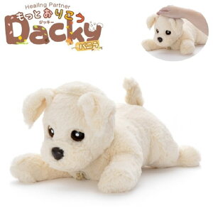 ^Jg~[ q[Op[gi[V[Y Ƃ肱_bL[ oj F J[ ]g  F ׂ ybg Vi