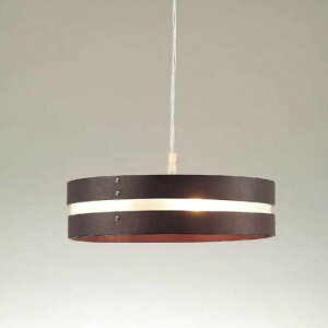 �������^���H�� �y���_���g���C�g LS-2813P �V�i