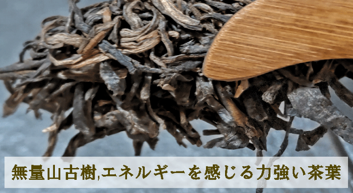 楽天市場】【SP 20%割引】 無量山 古樹茶 プーアル茶 生茶 200g