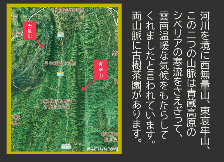 楽天市場】お試し 無量山 古樹茶 25g プーアル茶 生茶 リーフ 楽天市場】お試し 無量山 古樹茶 25g プーアル茶 生茶 リーフ