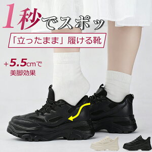 _X[p[SALE62%OFFIi^ Xj[J[  fB[X V[Y U[ ^C gAbv  r ʋC V[Y ₷ JWA  y L C Z