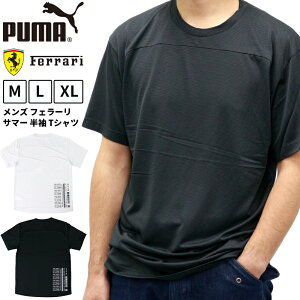 P | v[} Y gbvX [^[X|[c PUMA R{ RNV FERRARI LS 577863  TVc | X|[cEFA Xg[g g[jO W tBbglX jO AEghA