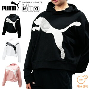 v[} fB[X gbvX g[jO PUMA 581034 bNX tBbg p[J[ MODERN SPORTS | X|[cEFA jO W tBbglX jO AEghA