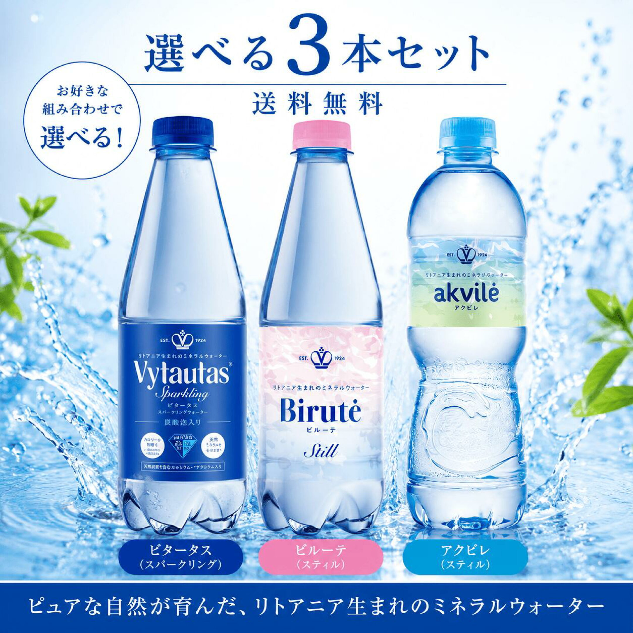 選べる3本セット
