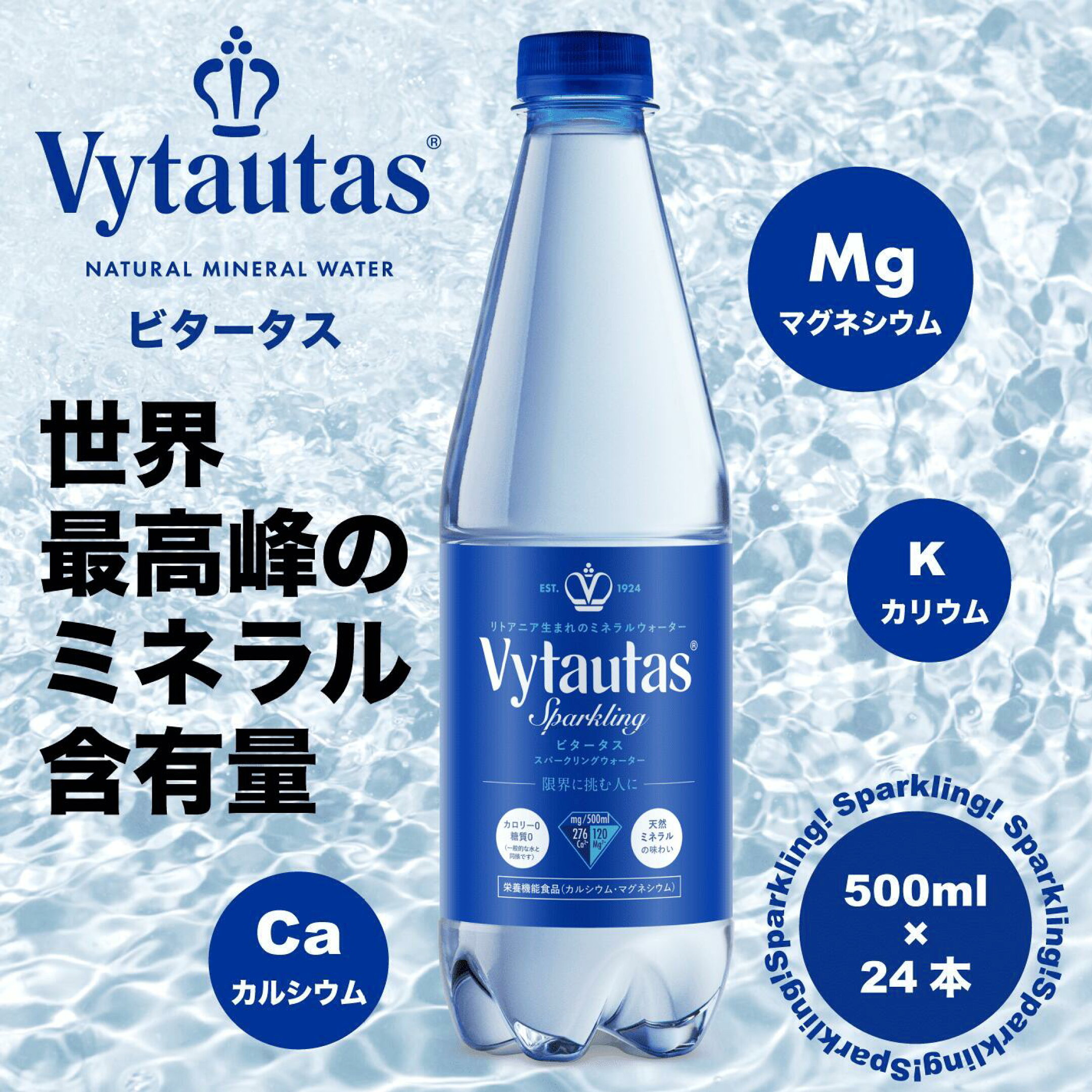 ビタータス12本入り