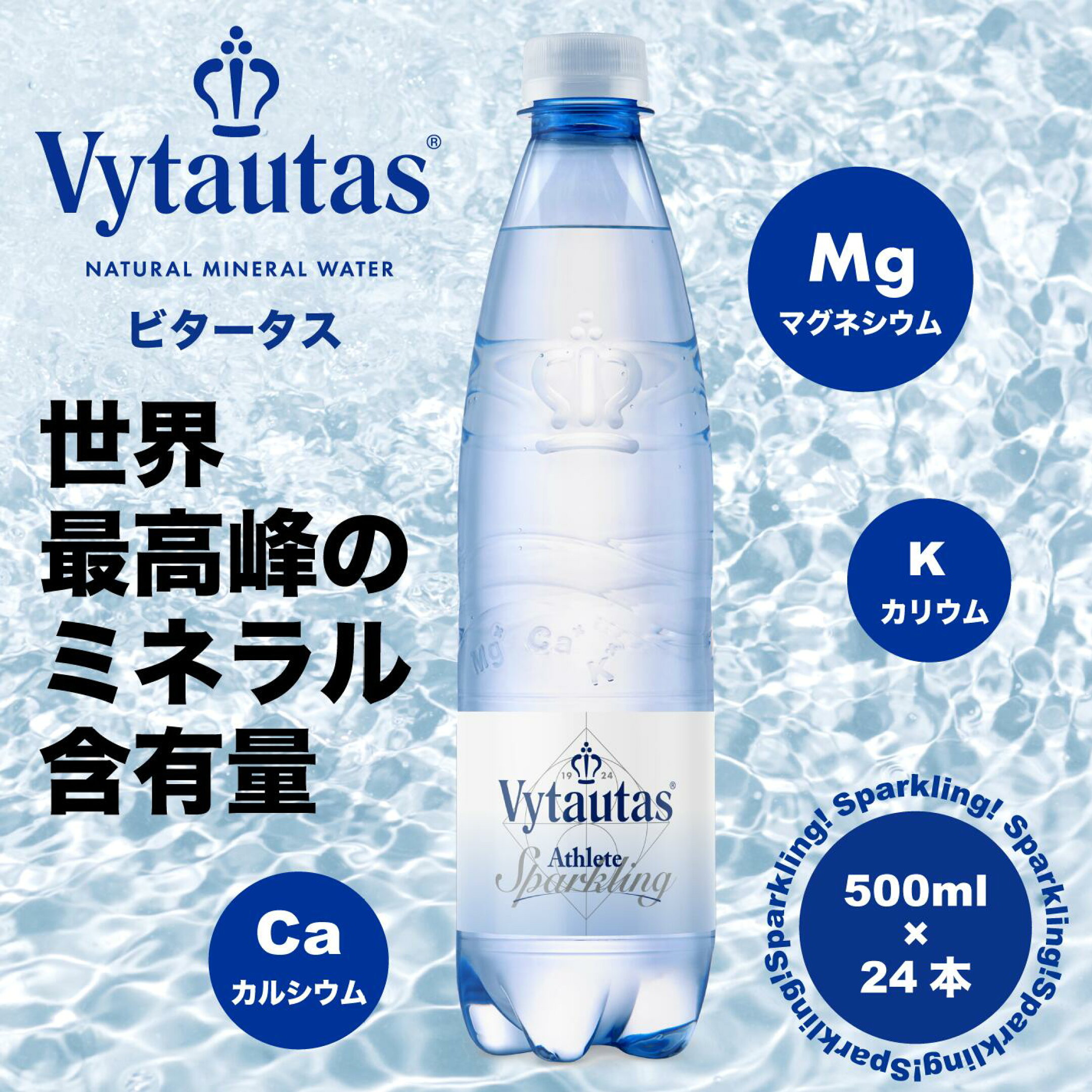 ビタータス12本入り