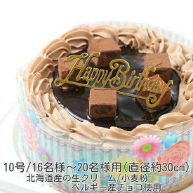 楽天市場 ケーキ10号の通販