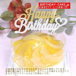 VFs[`Ղ fR[VP[L 5 kC̐N[ }֑Ή 4ނ̃sbN炨Iт aP[L o[Xf[P[L