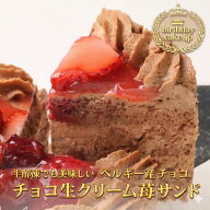 チョコ生クリームいちご3号から5号 クリスマス バースデーケーキ北 海道生クリーム100%/バースデーオーナ…