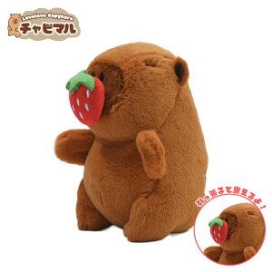 `r} ^EXyC`SzJso ʂ L[z_[ }XRbg L[`F[ 킢 n ӂӂ v[g Mtg q l lC ObY LN^[ obO`[