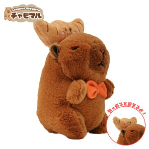 `r} IypzJso ʂ L[z_[ }XRbg L[`F[ 킢 n ӂӂ v[g Mtg q l lC ObY LN^[ obO`[ 